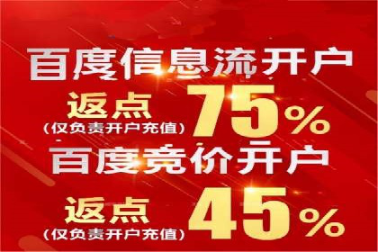 百度竞价广告投放策略案例